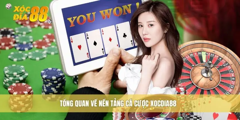 tâm lý chơi xóc đĩa